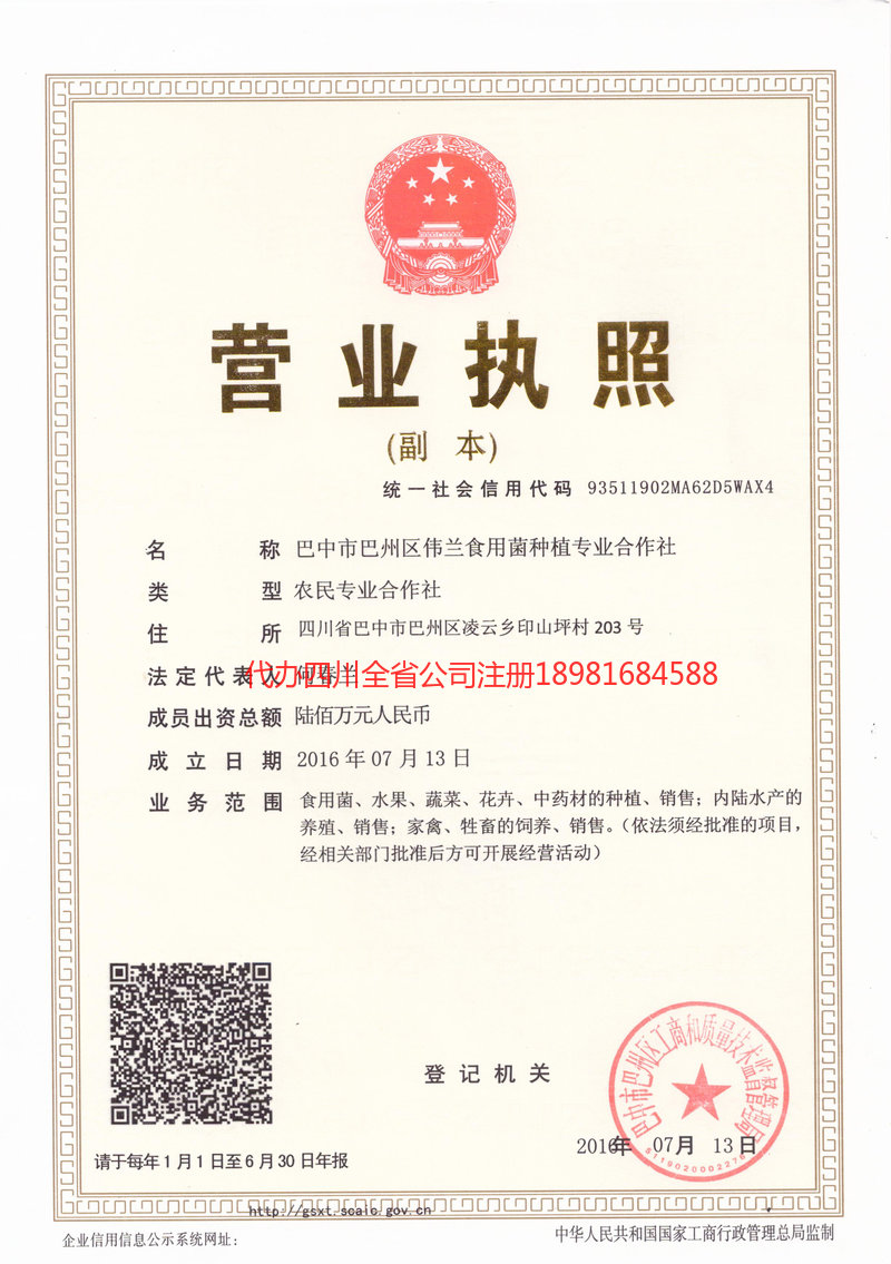 东宁东宁伟兰食用菌种植专业合作社